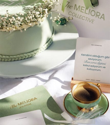 The Meliora Bundle