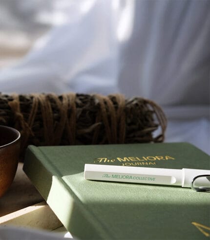 The Meliora Writer